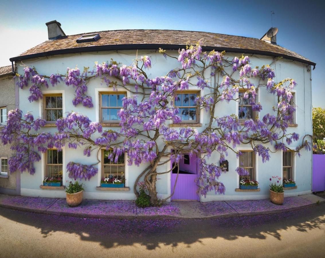 Deerpark Cottage, Inistioge, Kilkenny المظهر الخارجي الصورة